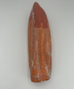 Alternative view of Keramikdekoration "Glutspur"